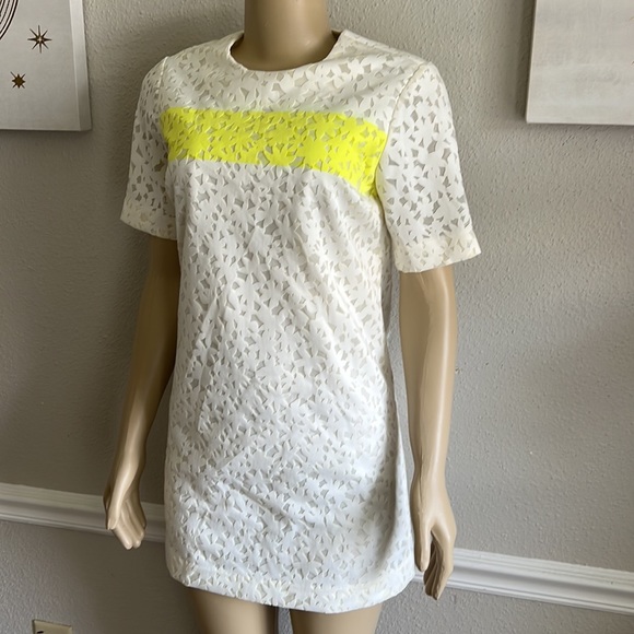 Elizabeth and James Chelle Laser Cut Lace Shift Dress Size S - Picture 2 of 7